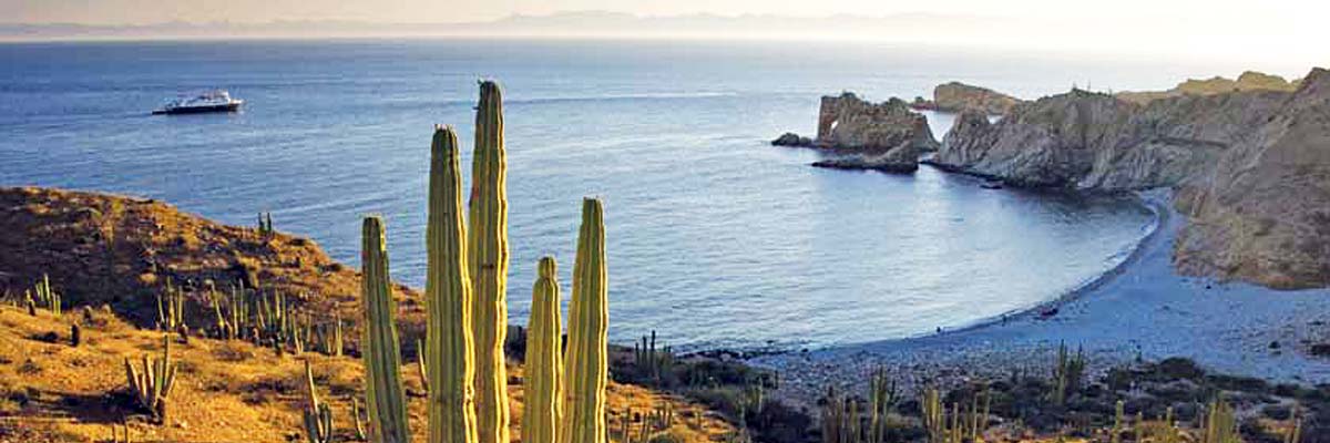 Whales & Wildness: Spring in the Sea of Cortez